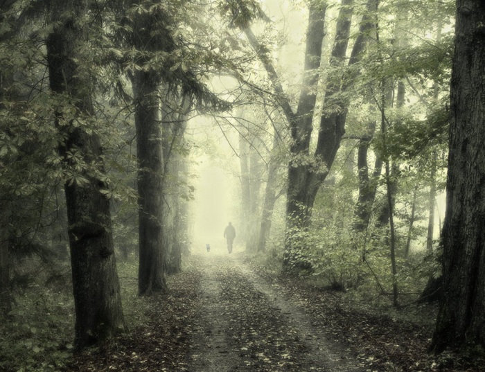 100 изумительных фотографий тумана (часть 2)