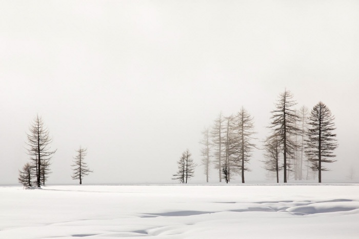 100 изумительных фотографий тумана (часть 2)