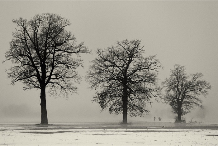 100 изумительных фотографий тумана (часть 2)