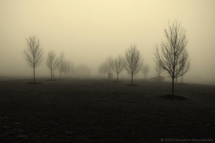 100 изумительных фотографий тумана (часть 2)