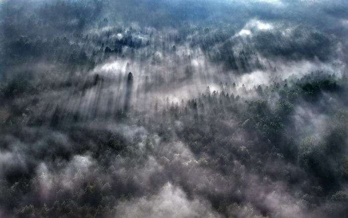 100 изумительных фотографий тумана (часть 2)