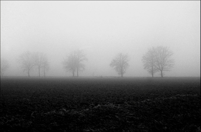 100 изумительных фотографий тумана (часть 2)