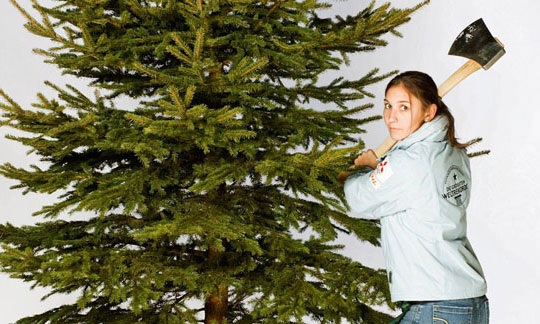 Новогодние рекорды Гиннесса