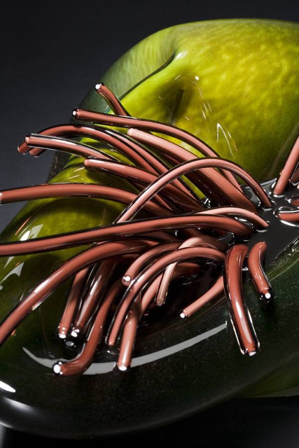 Стеклянные шедевры Шайны Лейб