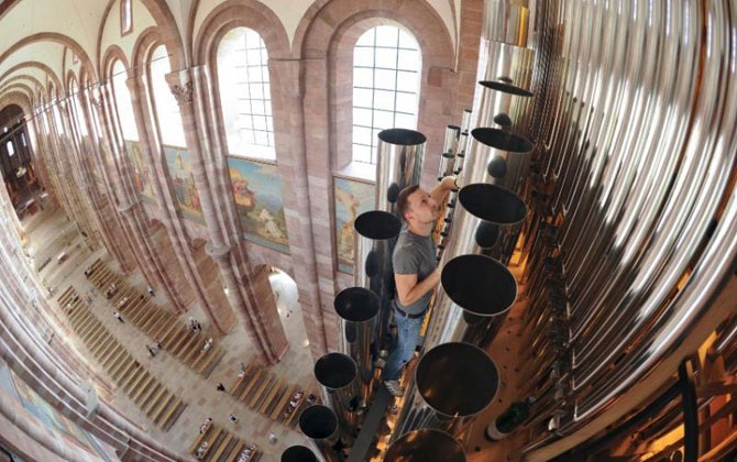 Редчайшие профессии Европы