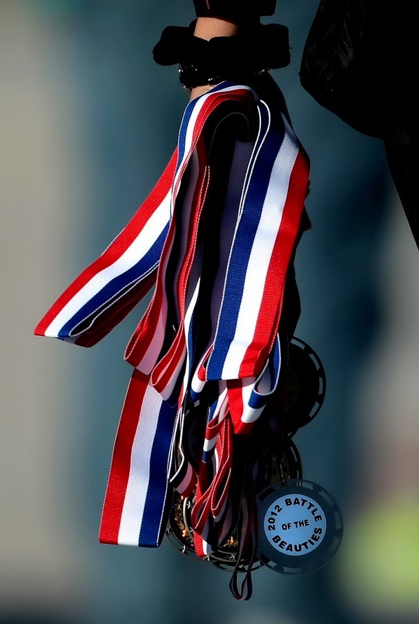 Битва чирлидерш