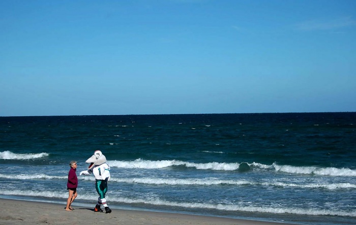 Битва чирлидерш