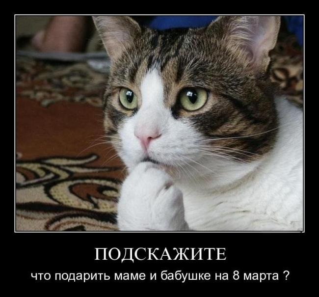 Демотиваторы на 8 марта