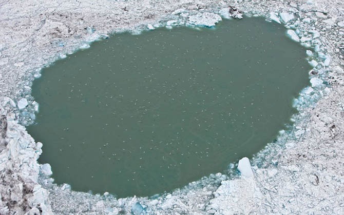 Удивительные голубые айсберги и ледники в Исландии