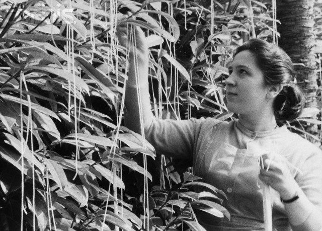 Лучшие первоапрельские шутки XX века (12 фото)