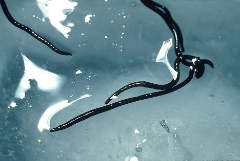 Лучшие первоапрельские шутки XX века (12 фото)