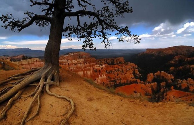 Каньон Брайс