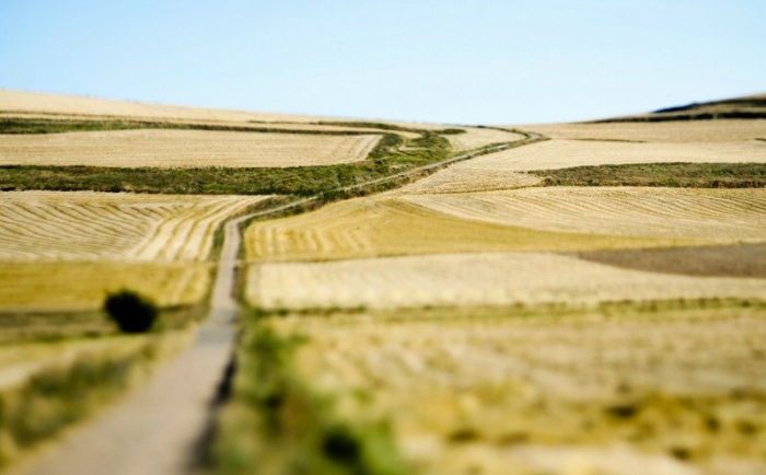 Фотоэффект Tilt-Shift