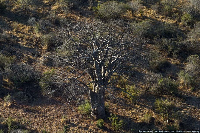 Увлекательное путешествие к водопаду Виктория