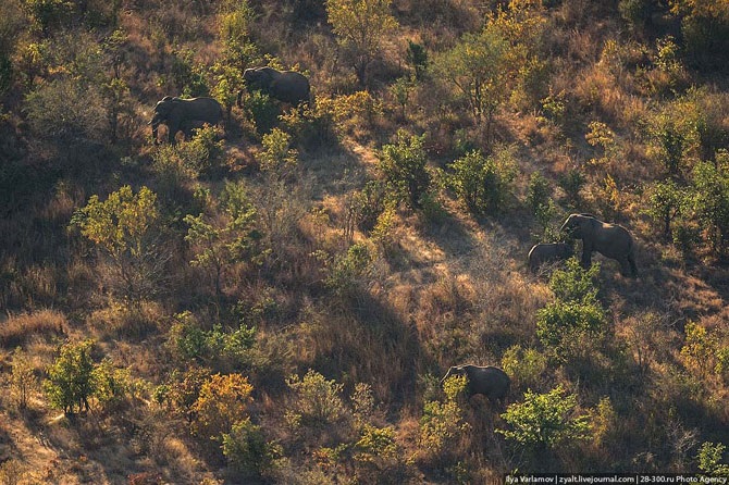 Увлекательное путешествие к водопаду Виктория