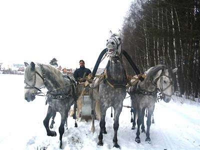 Там русский дух, там Русью пахнет!