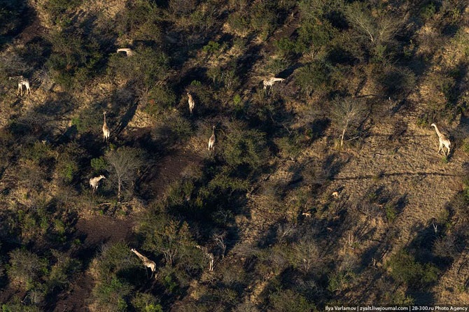 Увлекательное путешествие к водопаду Виктория