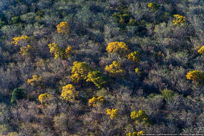 Увлекательное путешествие к водопаду Виктория