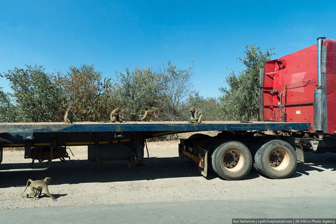 Увлекательное путешествие к водопаду Виктория