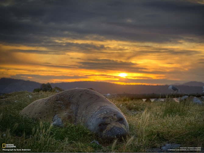 Большое фотопутешествие с National Geographic