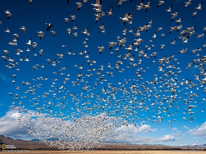 Большое фотопутешествие с National Geographic