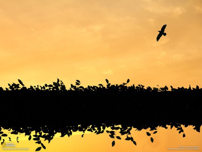 Большое фотопутешествие с National Geographic