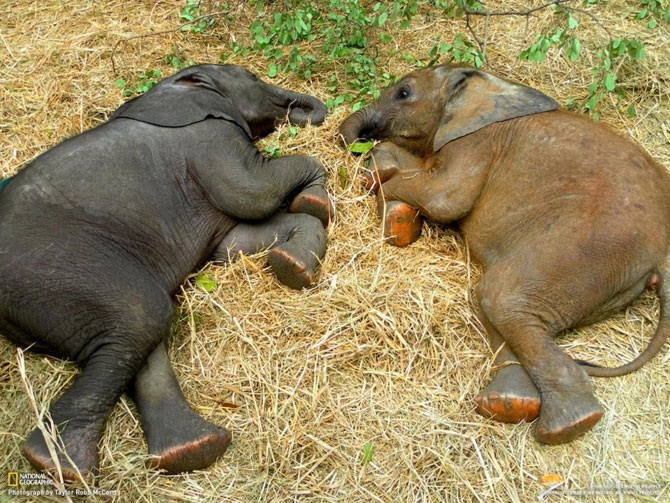 Большое фотопутешествие с National Geographic