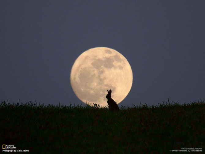 Большое фотопутешествие с National Geographic