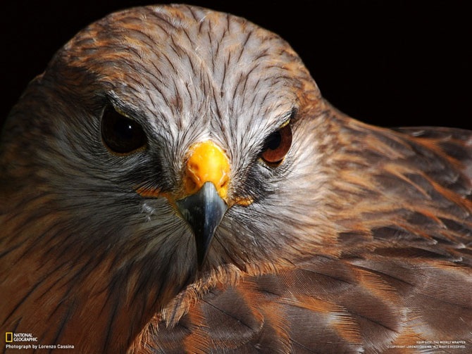 Большое фотопутешествие с National Geographic