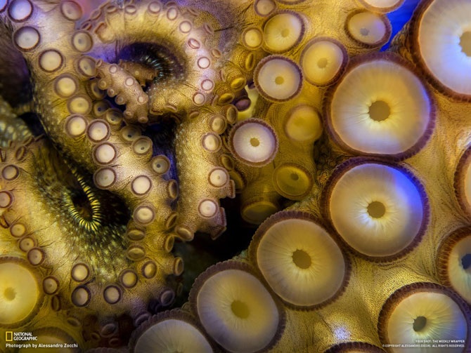 Большое фотопутешествие с National Geographic