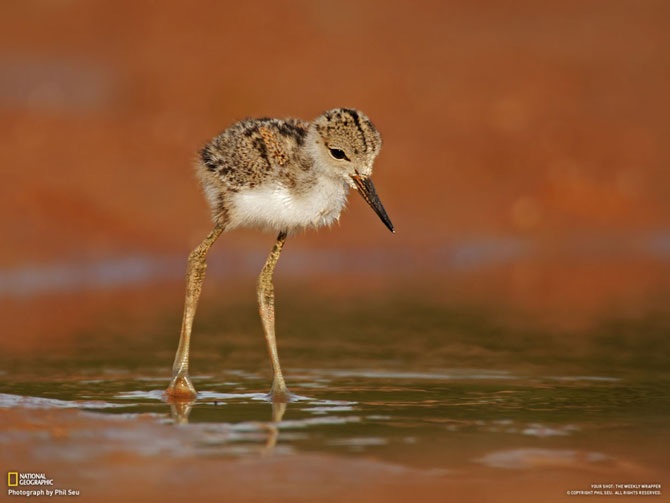 Большое фотопутешествие с National Geographic