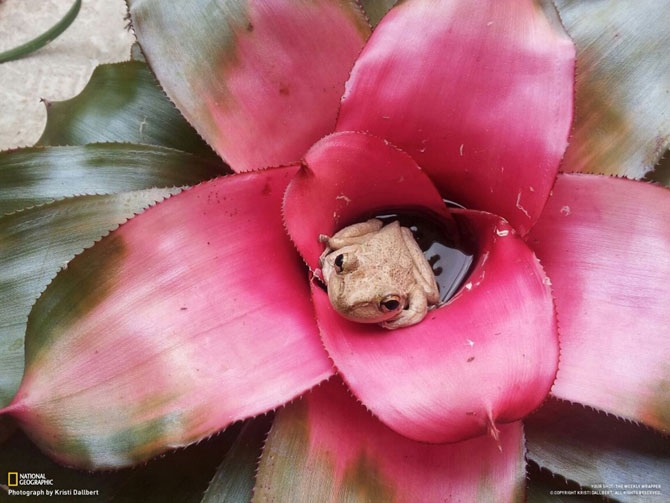 Большое фотопутешествие с National Geographic