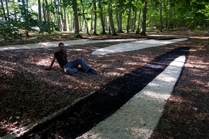 Художества Сильвэйн Мейера