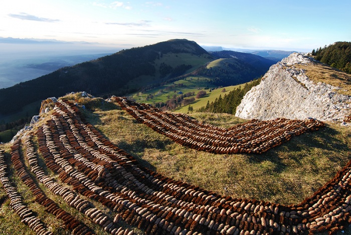 Художества Сильвэйн Мейера