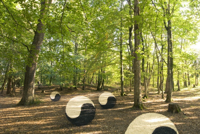 Художества Сильвэйн Мейера