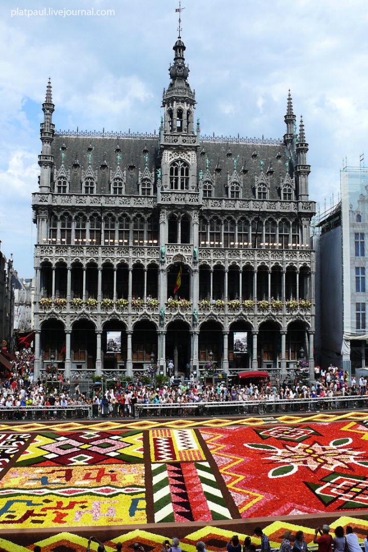 Брюссельский цветочный ковер (29 фото)