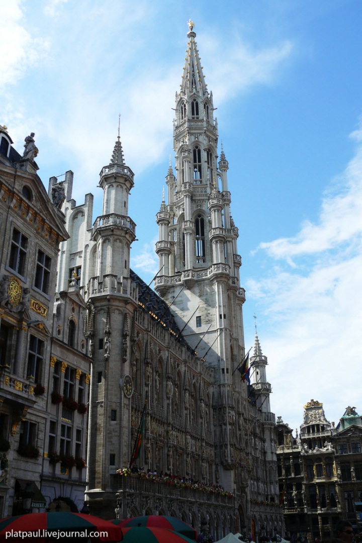 Брюссельский цветочный ковер (29 фото)