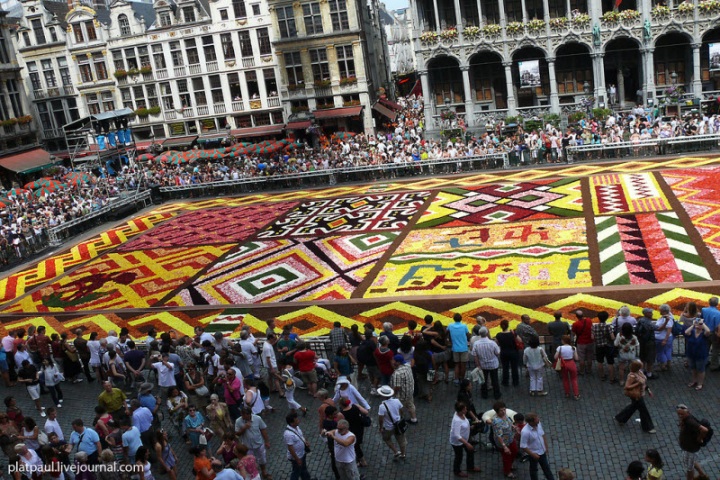 Брюссельский цветочный ковер (29 фото)