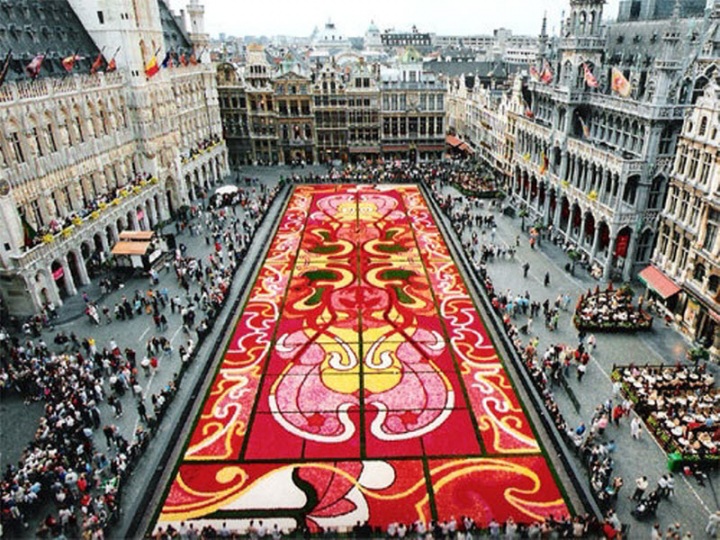 Брюссельский цветочный ковер (29 фото)