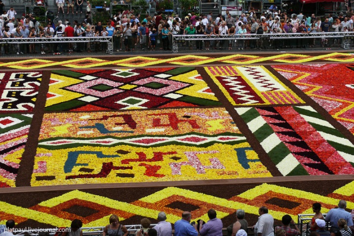 Брюссельский цветочный ковер (29 фото)