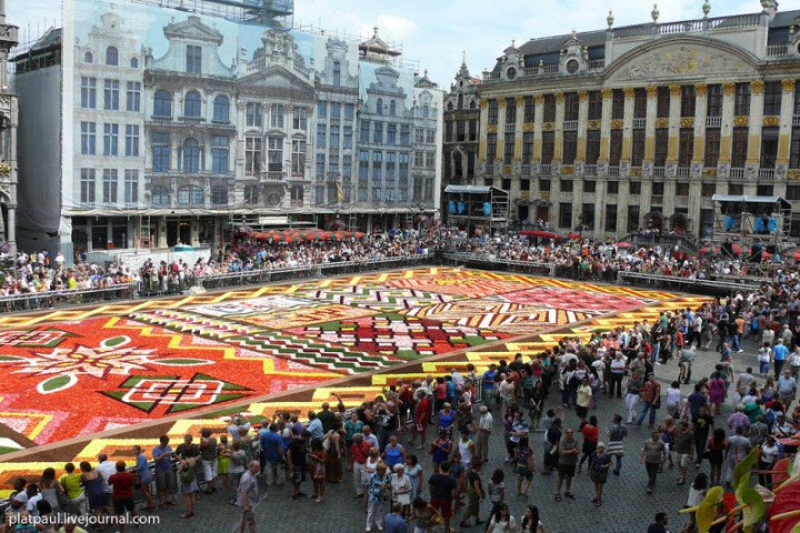 Брюссельский цветочный ковер (29 фото)