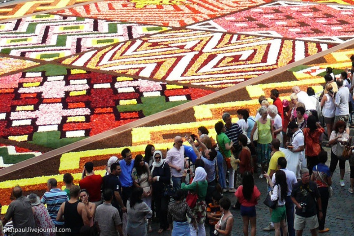 Брюссельский цветочный ковер (29 фото)