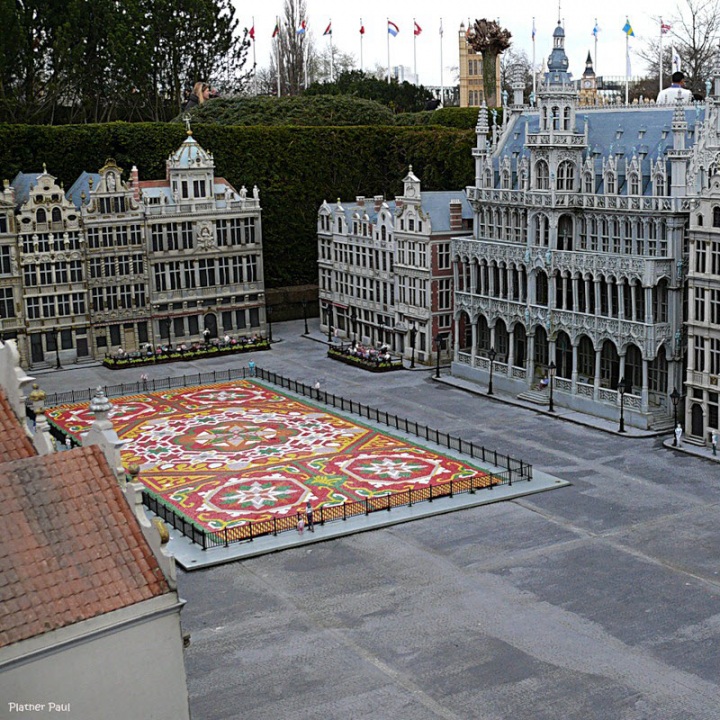 Брюссельский цветочный ковер (29 фото)