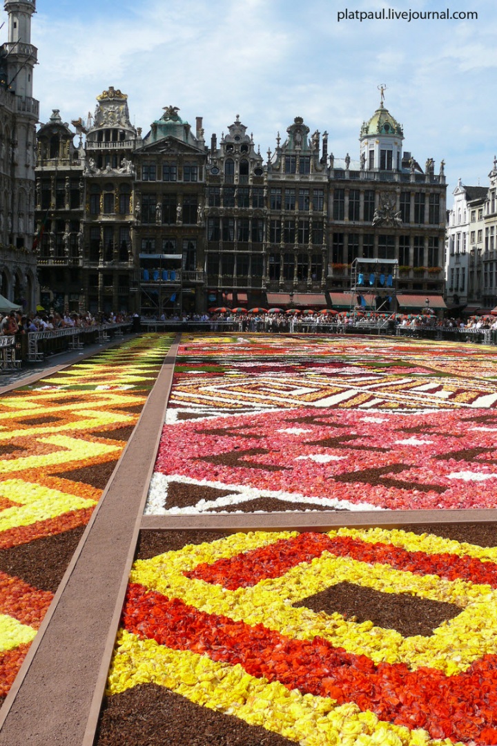 Брюссельский цветочный ковер (29 фото)