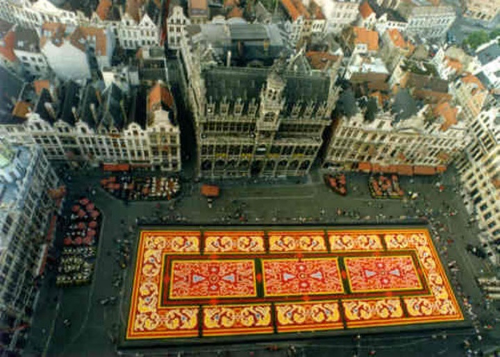 Брюссельский цветочный ковер (29 фото)