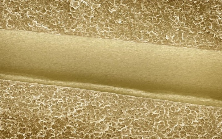 Макросъмка еды от Caren Alpert (29 фото)