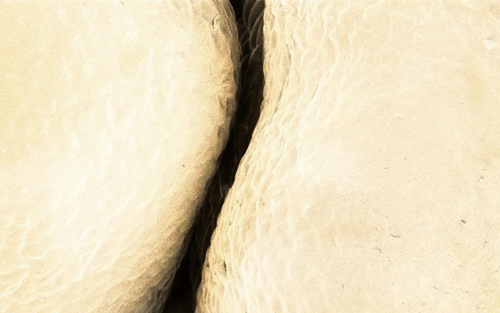 Макросъмка еды от Caren Alpert (29 фото)