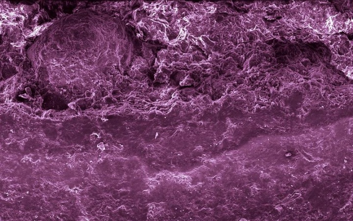 Макросъмка еды от Caren Alpert (29 фото)