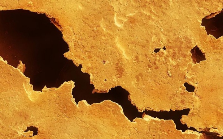 Макросъмка еды от Caren Alpert (29 фото)