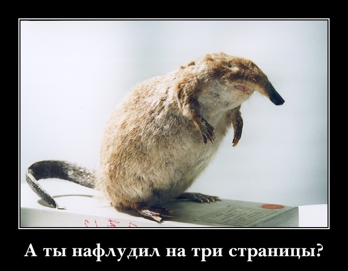 А ты нафлудил на три страницы?